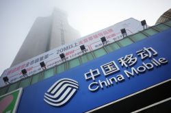 [使用手册]湛江市有限公司企业名录_哔哩哔哩-2